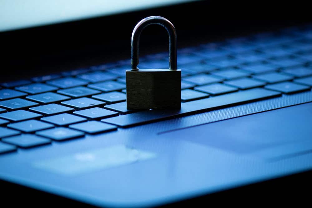 Cybersecurity Services to Protect Your Business